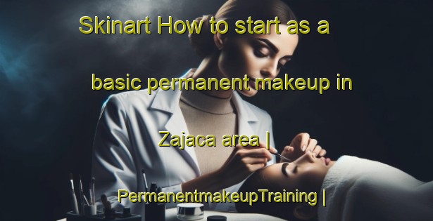 Skinart How to start as a basic permanent makeup in Zajaca area | PermanentmakeupTraining | PermanentmakeupClasses | SkinartTraining-Serbia